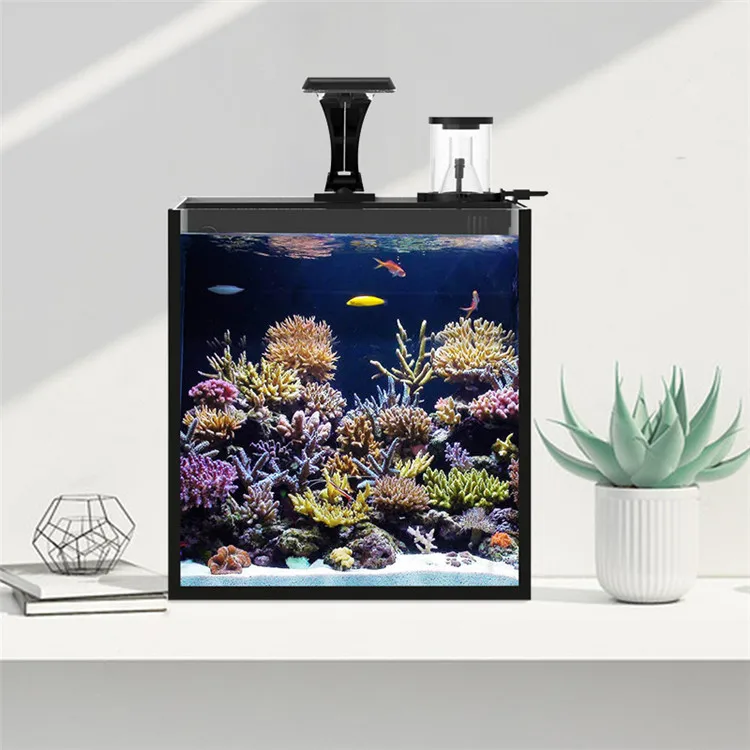 Nieuwste model helder glas min - Aquarium Marine Salt recensie en prijs