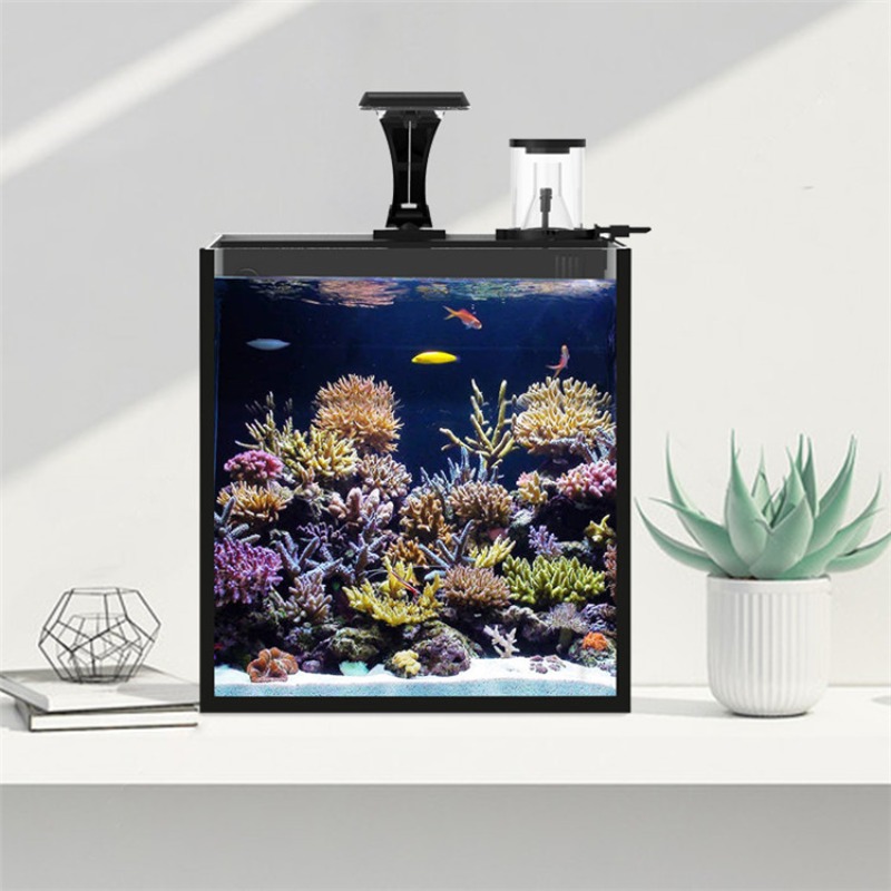 Ultratransparant glazen mini-z - Aquarium Marine Salt recensie en prijs