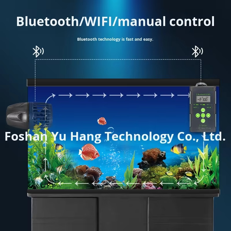 Fabriek directe verkoop leveri - Marine Aquarium Tank For Sale recensie en prijs