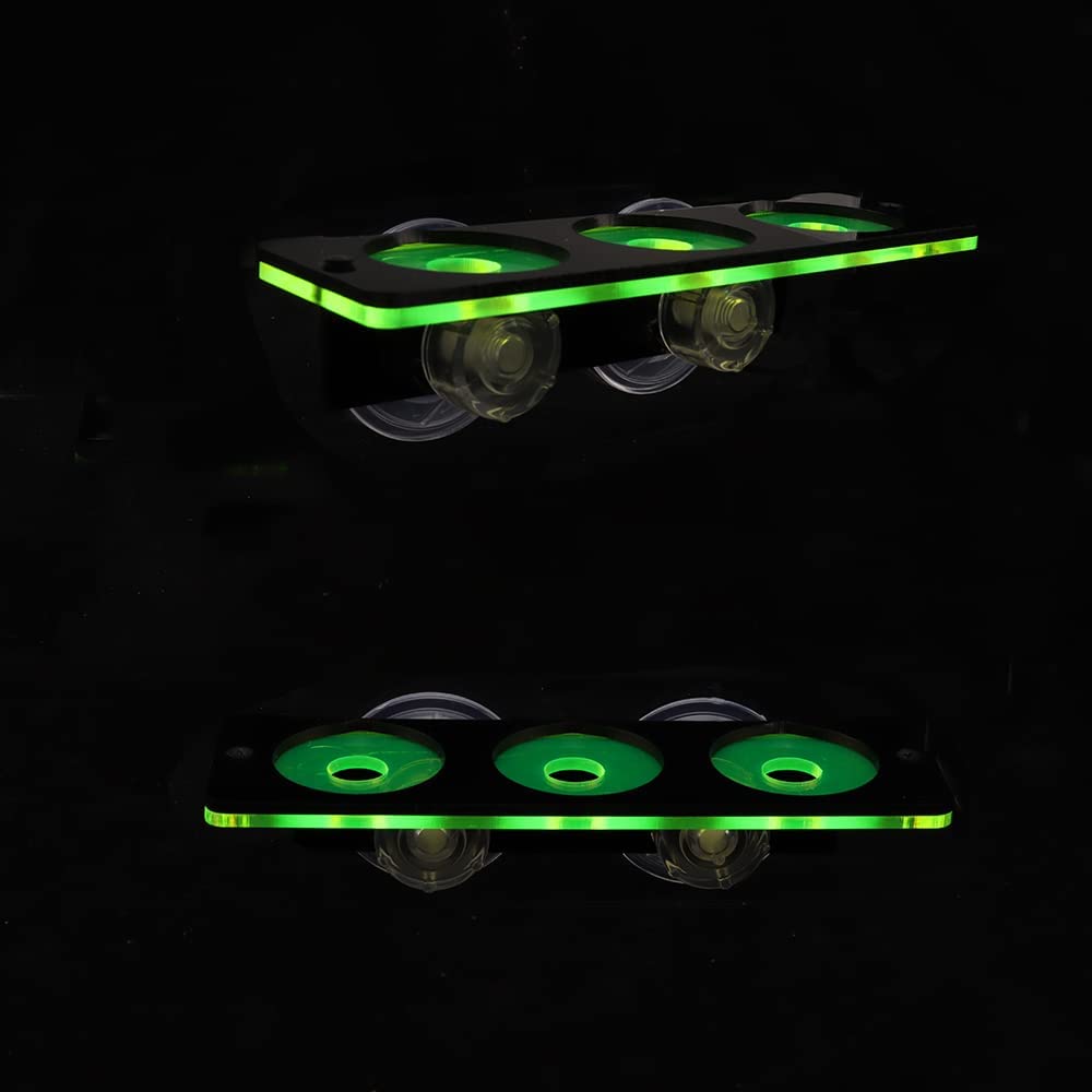 Fluorescerend Koraal Frag Plug - Marine Aquarium Orp recensie en prijs