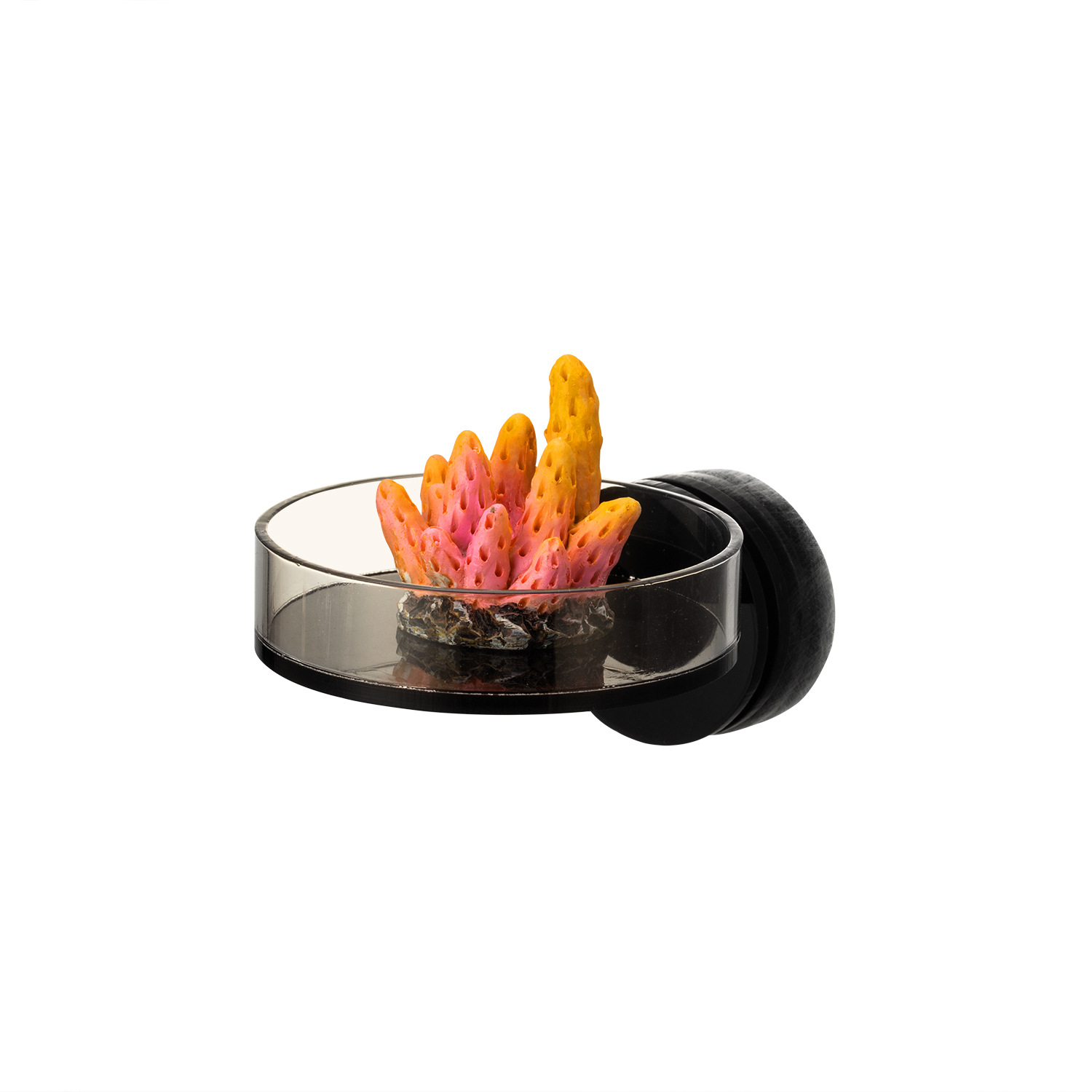 Marine Sources 70 mm zwart mag - Aquarium And Marine recensie en prijs